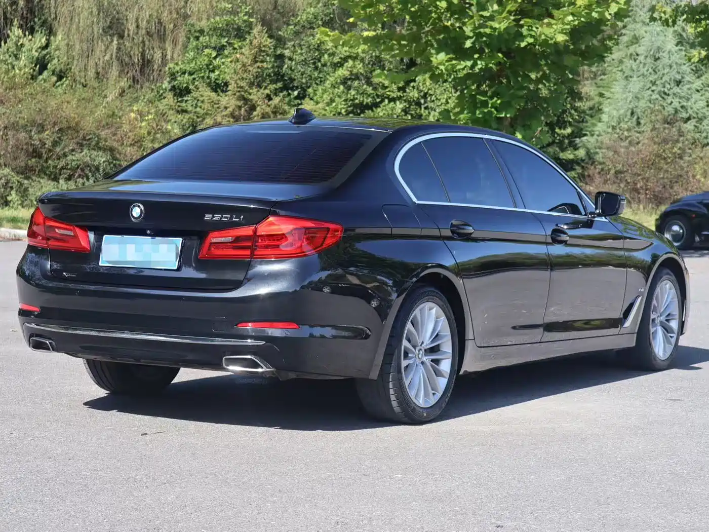 BMW 5 Series 2019 530Li xDrive Luxury Package фото 6