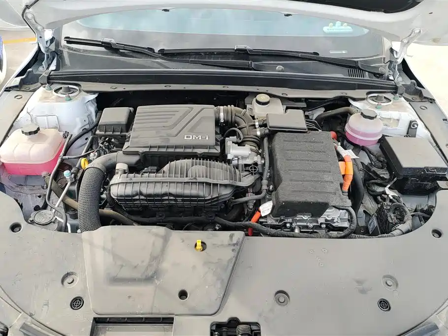 BYD Destroyer 05 2024 Glory Edition DM-i 55KM Luxury фото 10