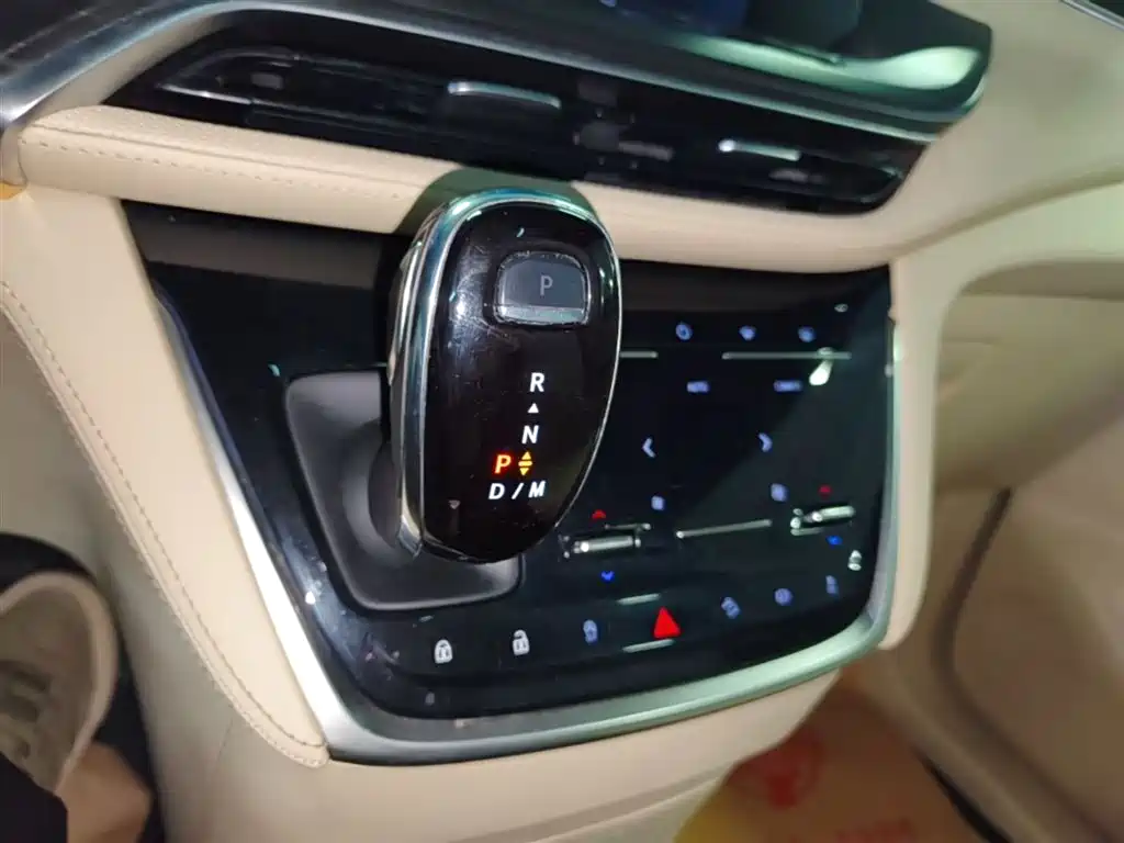 Buick GL8 2022 ES Landmark 653T Luxury фото 14