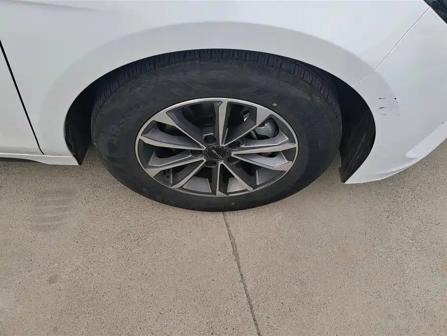 BYD Destroyer 05 2024 Glory Edition DM-i 55KM Luxury фото 6