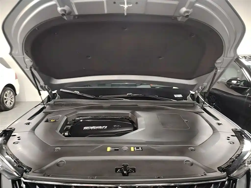 GAC Trumpchi Trumpchi GS8 2022 Pilot Series 2.0TGDI 2WD Premium Edition (7-Seater) фото 20