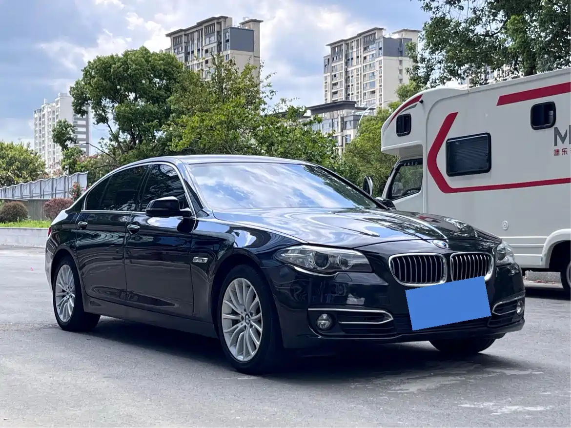 BMW 5 Series 2014 525Li Luxury Design Package фото 3