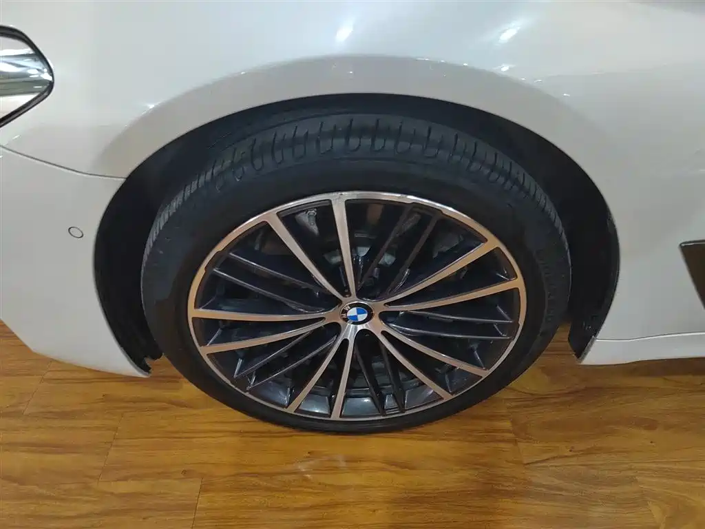 BMW 5 Series 2020 530Li Exclusive M Sport Package фото 23