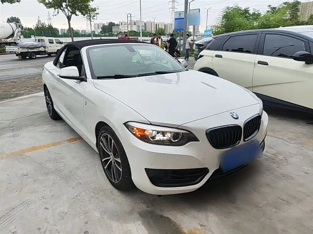 BMW 2 Series (Import) 2018 220i Convertible Coupe Sport Design Package фото 4