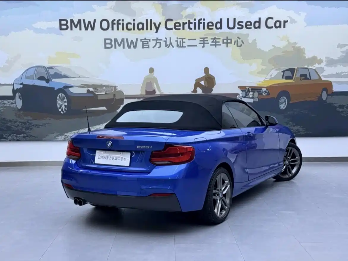 BMW 2 Series (Import) 2018 225i Convertible Coupe M Sport фото 7