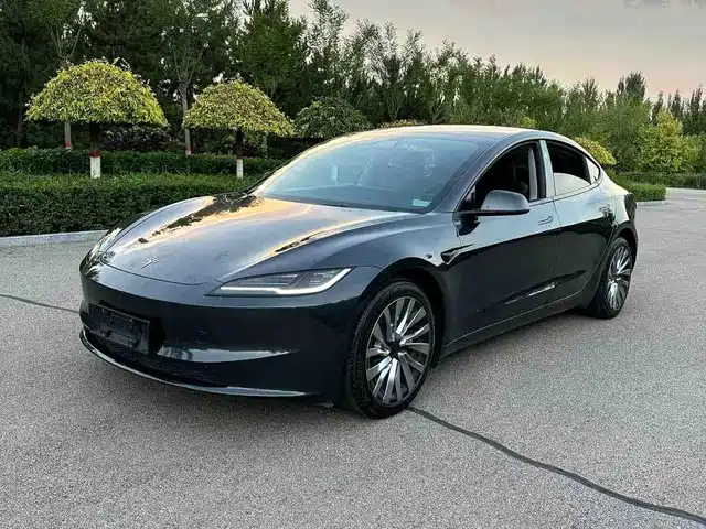  Tesla Model 3 2025 Model Long Range Rear-Wheel Drive