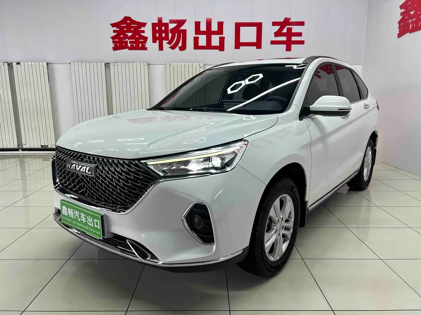 HAVAL M6