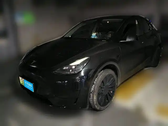 Tesla Model Y 2022 Rear-Wheel Drive Version — фото 1