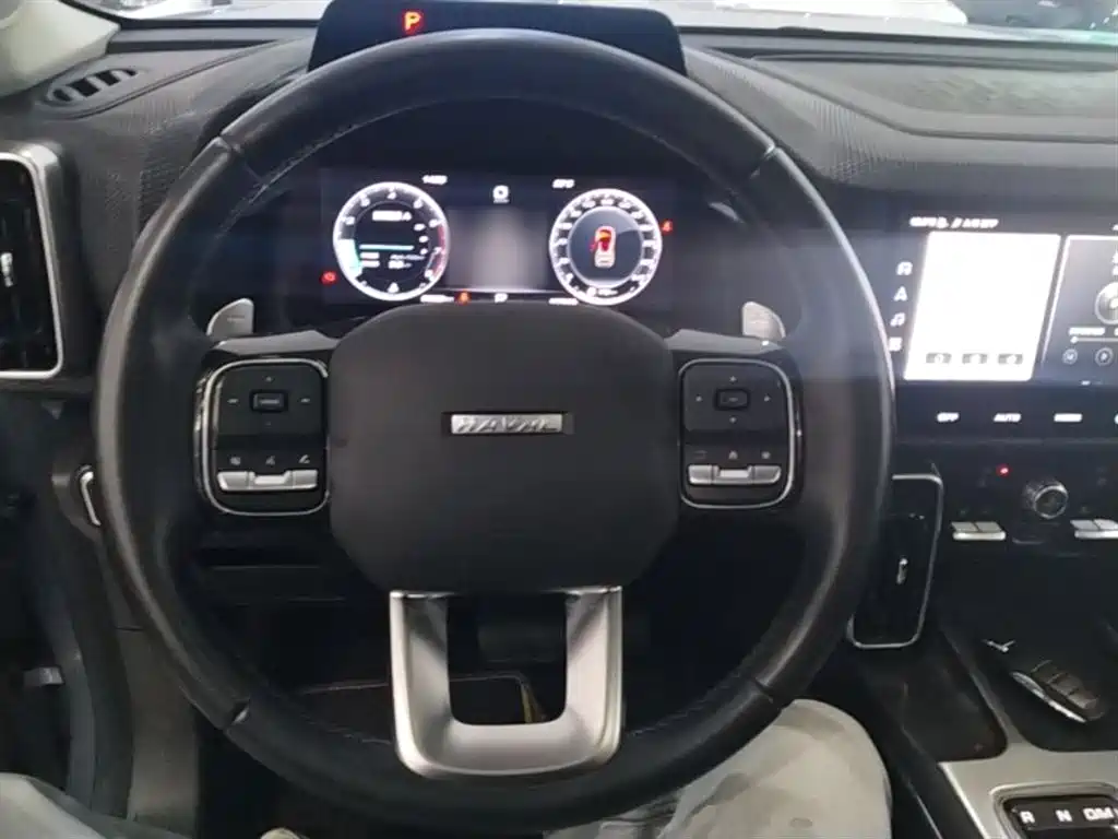 Haval Big Dog 2021 1.5T DCT 2WD Labrador Edition фото 11