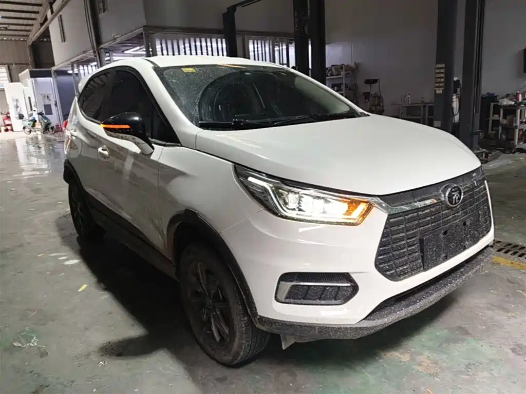 BYD Yuan New Energy 2019 EV535 Smart Connected Trend Leader Type фото 22