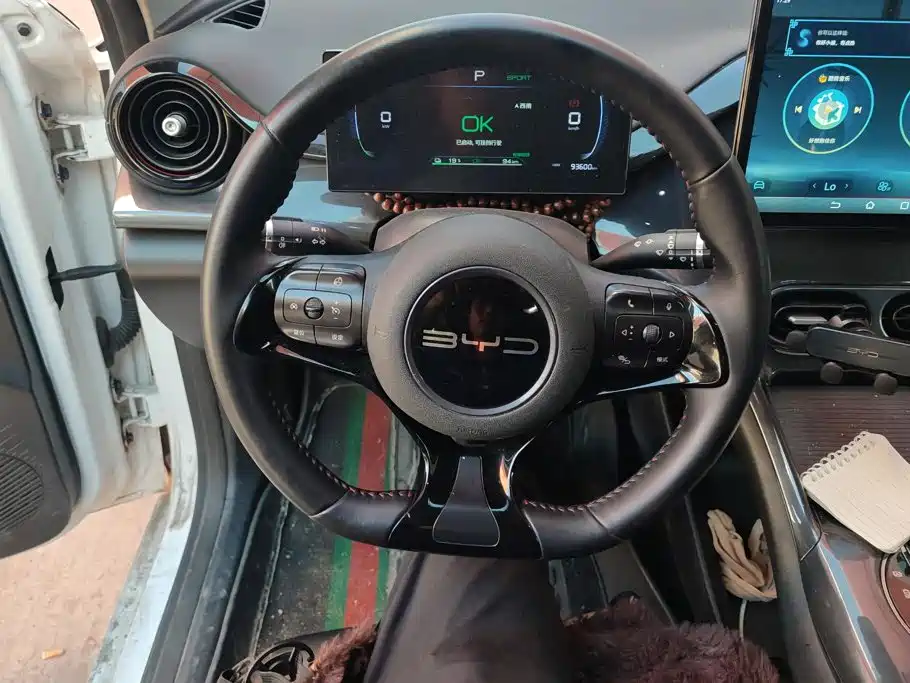 BYD e2 2023 2023 Luxury Model