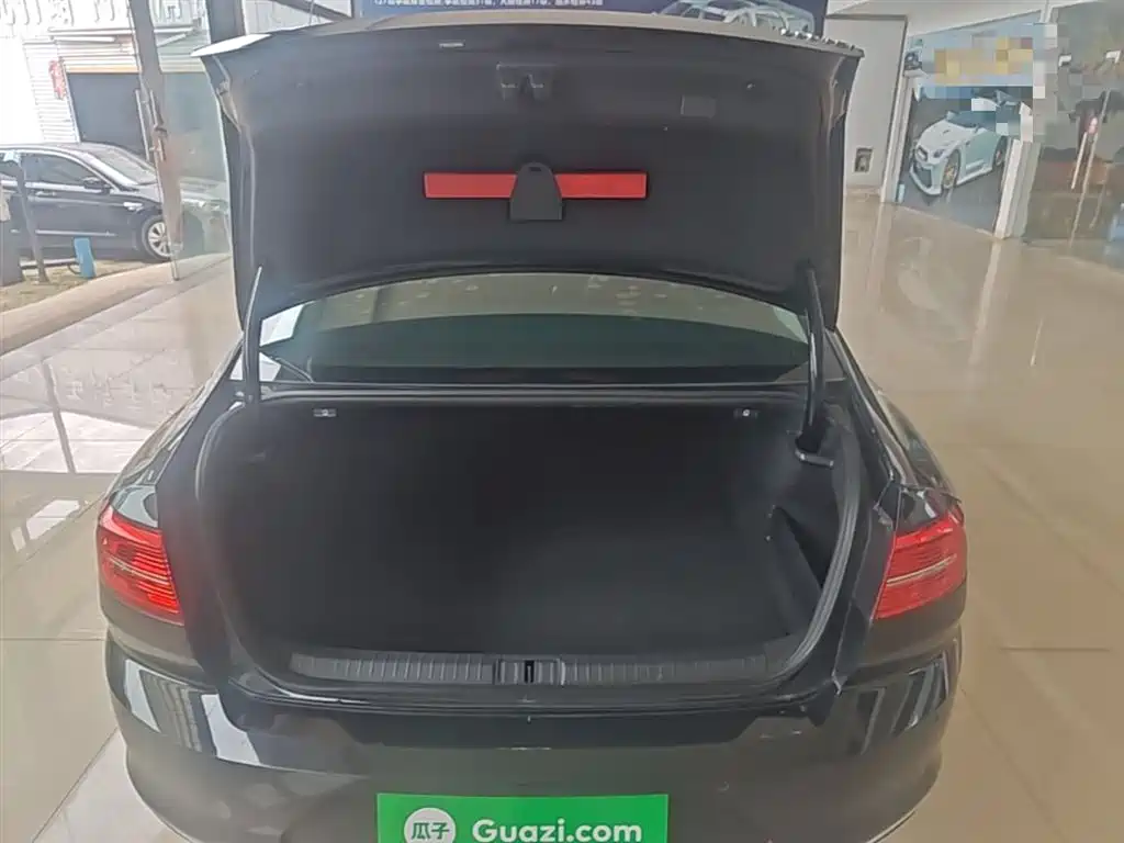 Volkswagen Magotan 2018 330TSI DSG Leading фото 19