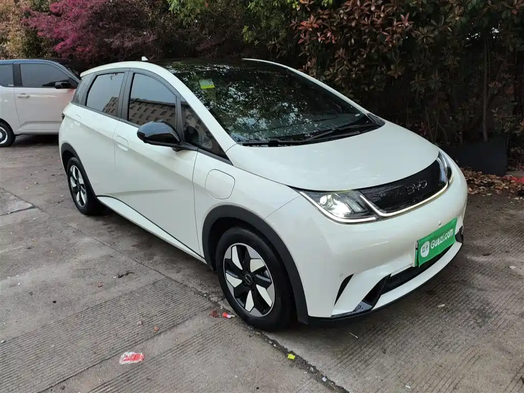BYD Dolphin 2024 Glory Edition 420km Fashion Edition фото 4