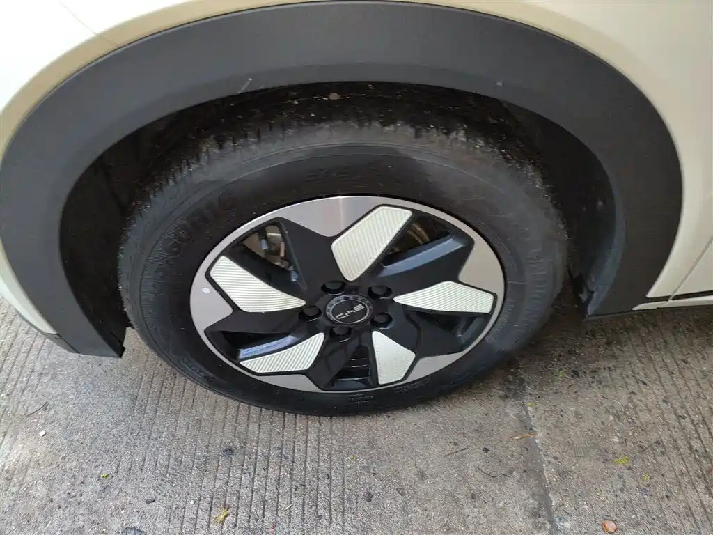 BYD Dolphin 2024 Glory Edition 420km Fashion Edition фото 22