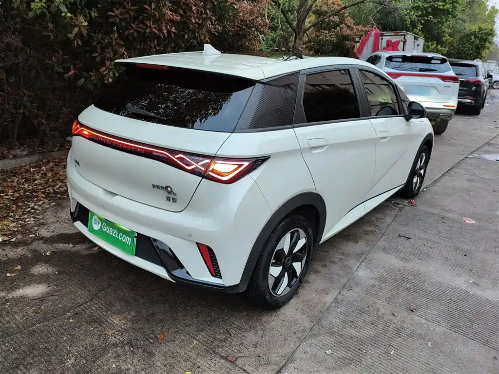 BYD Dolphin 2024 Glory Edition 420km Fashion Edition фото 7