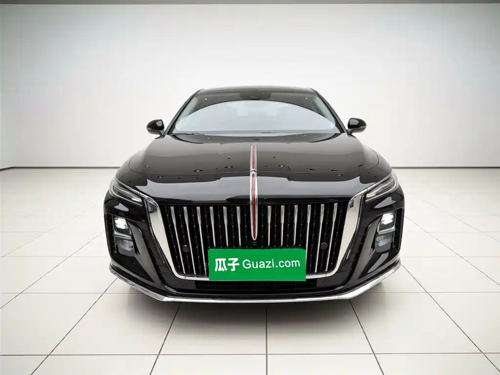 Hongqi H5 2024 2.0T Automatic Smart Connect Flag Smooth Edition фото 3