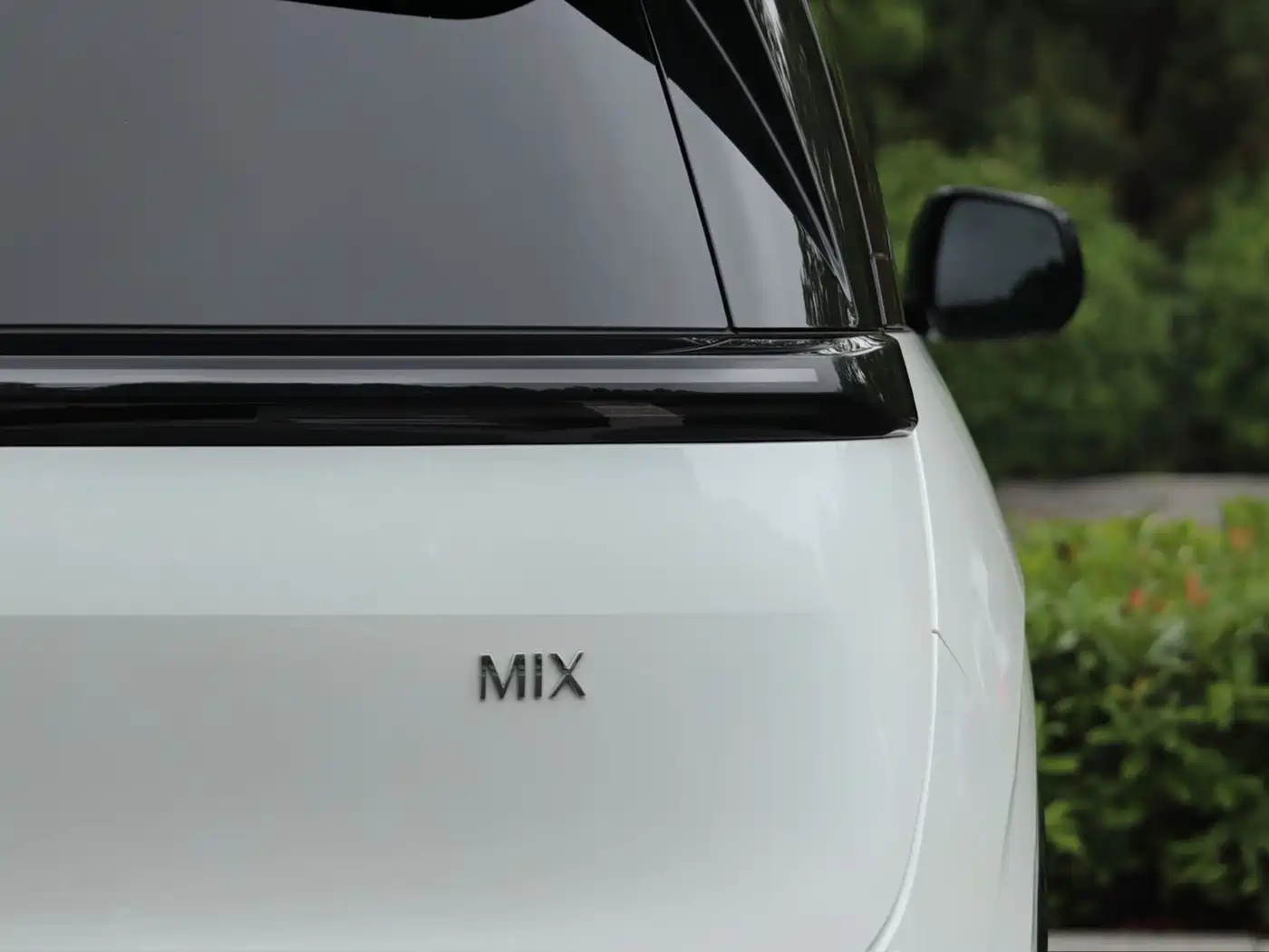 ZEEKR MIX 2025 2025 Long Range Intelligent Driving Edition