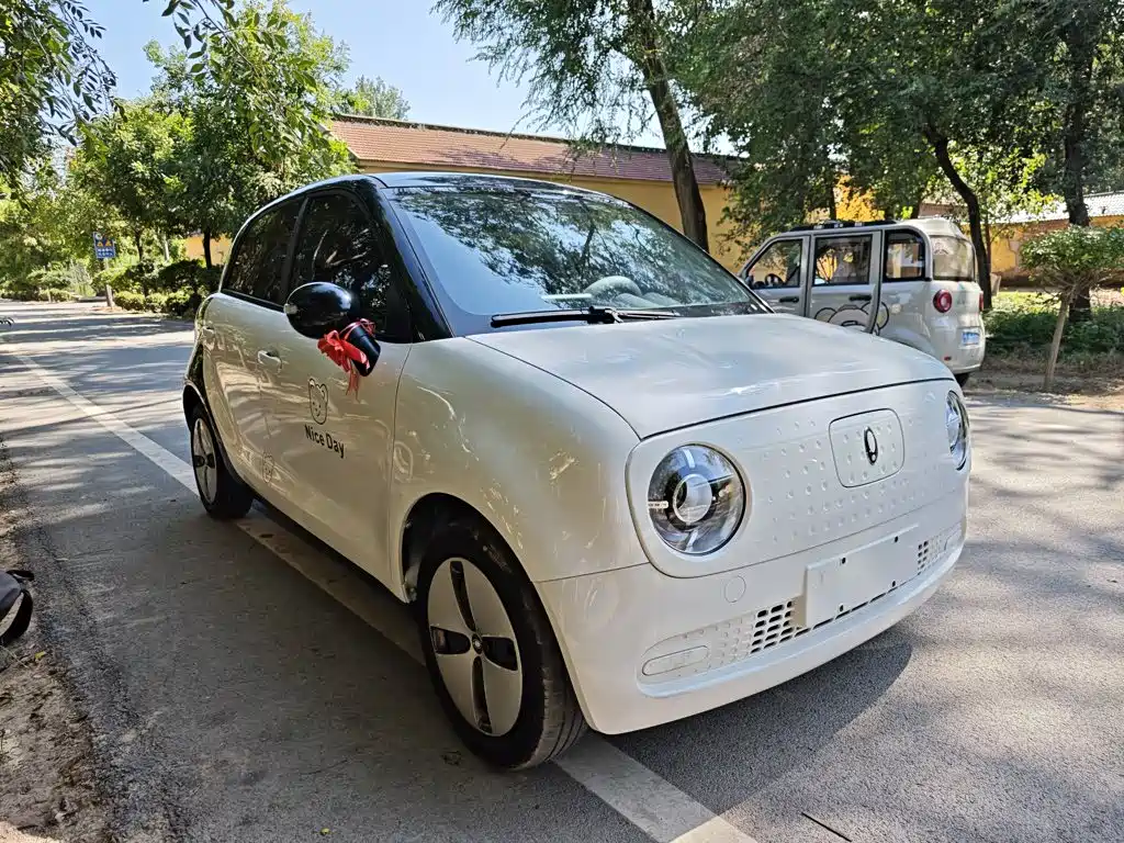 Ora Black Cat 2022 2022 Facelift 301km Pet Edition LFP Version