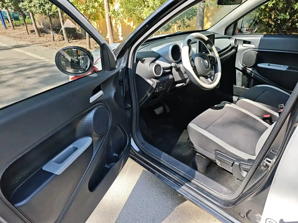 Ora Black Cat 2022 2022 Facelift 301km Pet Edition LFP Version