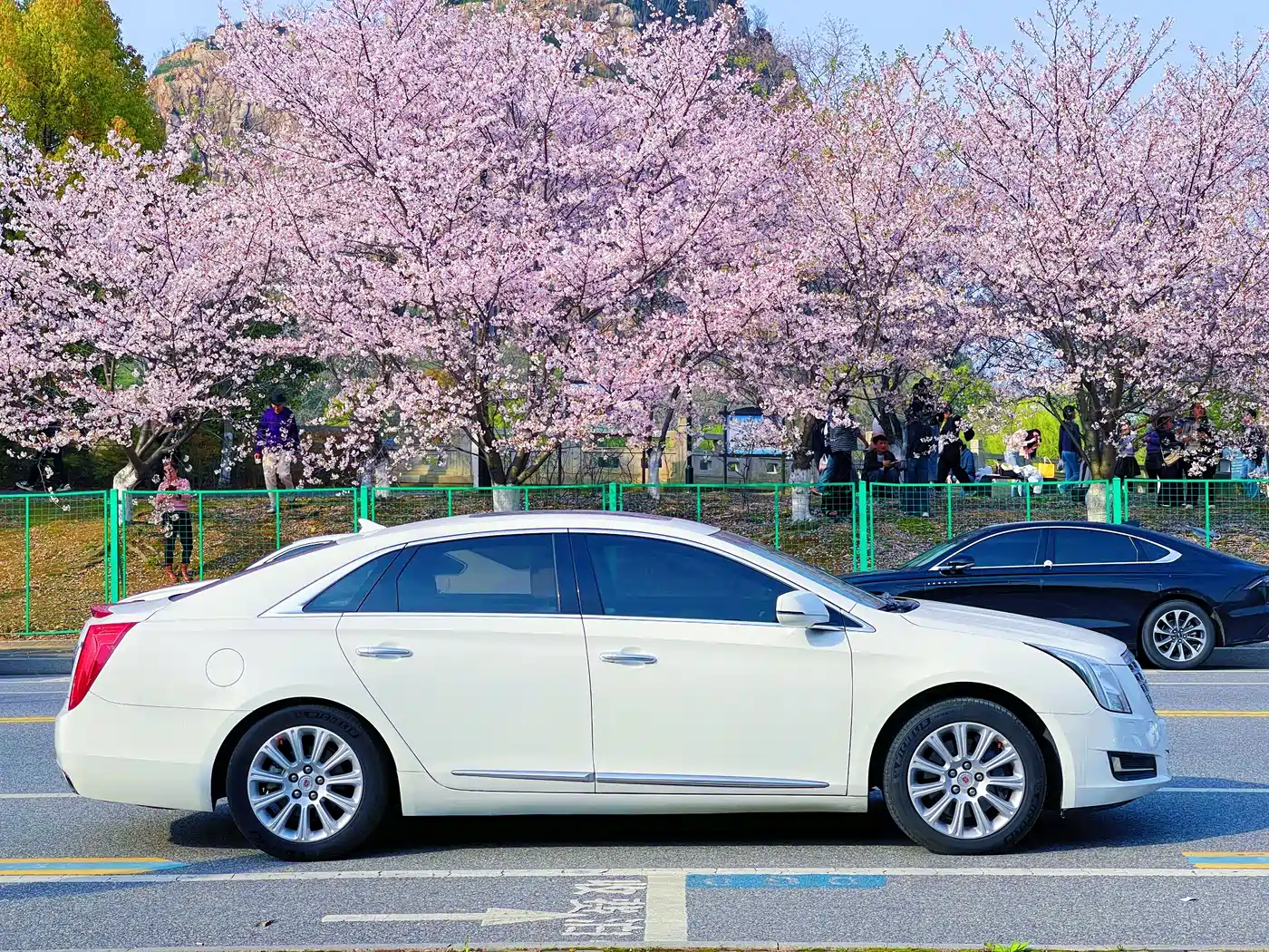 Cadillac XTS 2013 28T Luxury фото 11