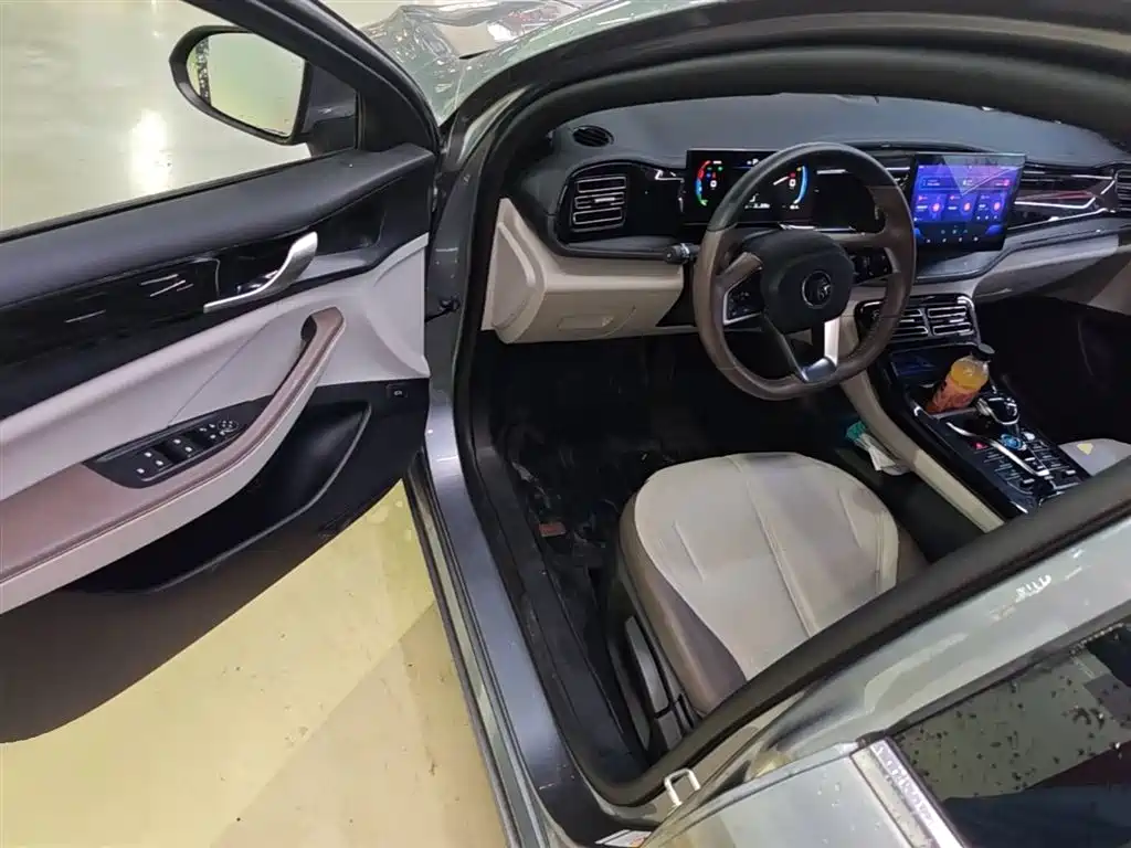 BYD Qin PLUS 2023 Champion Edition DM-i 55KM Leading фото 15
