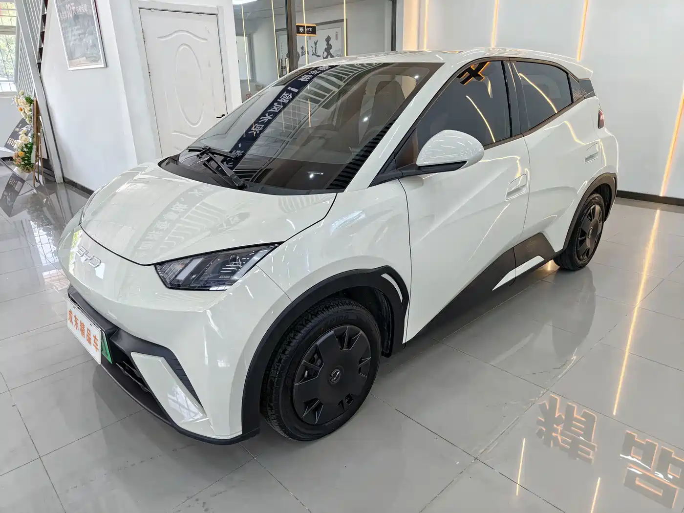 BYD Seagull 2024