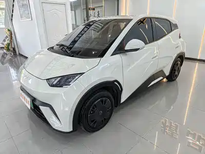 BYD Seagull