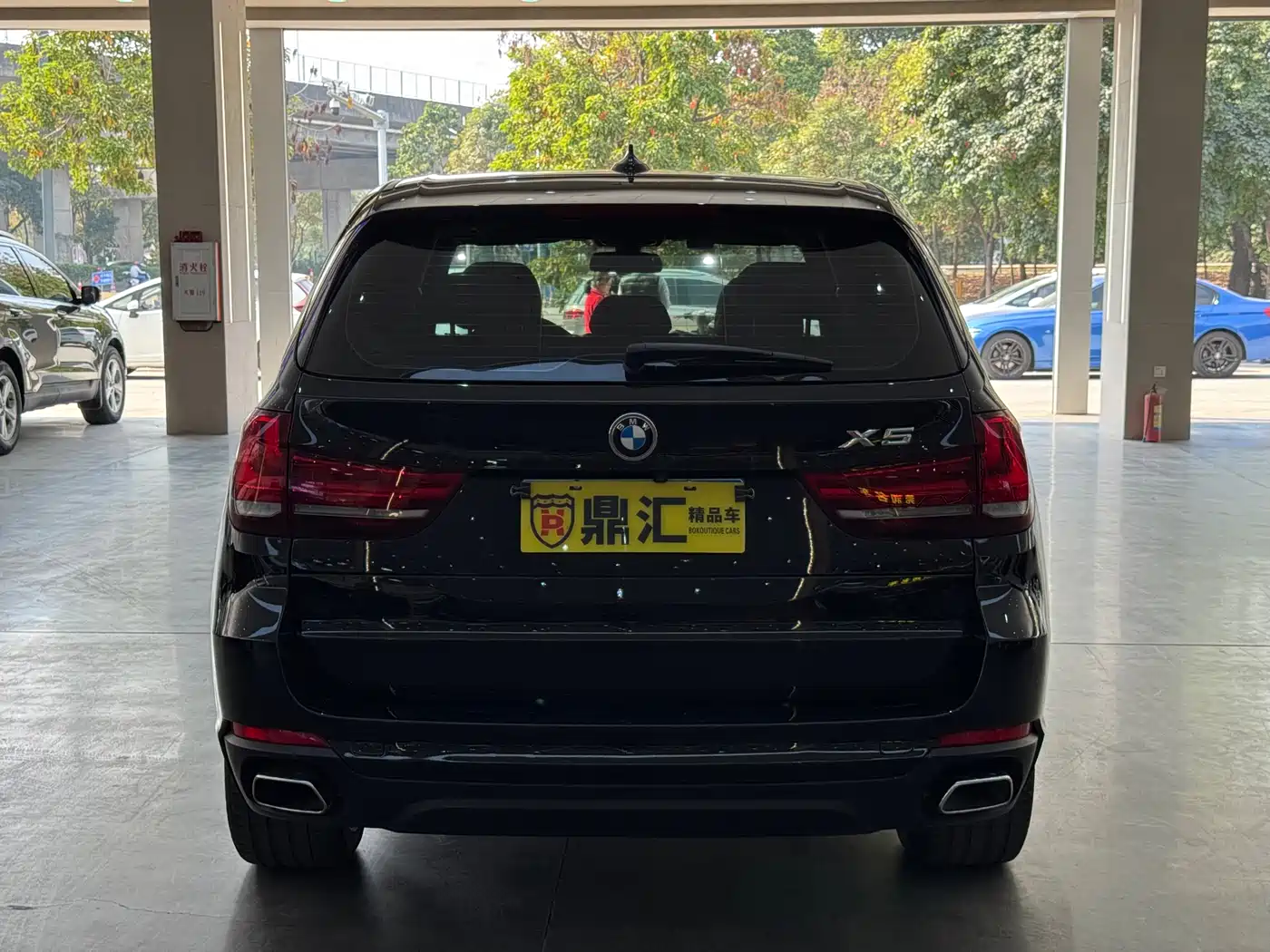 BMW X5 (Import) 2017 xDrive35i Elegance фото 3