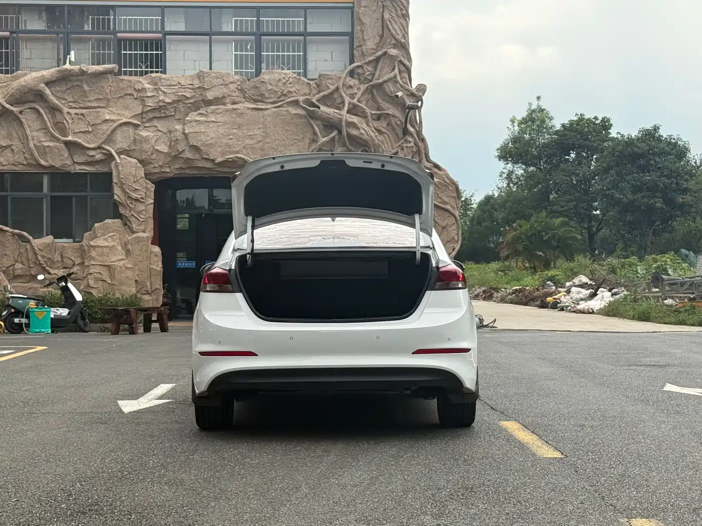 Hyundai Elantra 2016 1.6L Auto Smart·Luxury Edition фото 17