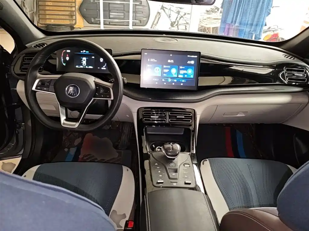 BYD Qin PLUS 2024 Glory Edition DM-i 55KM Leading фото 10