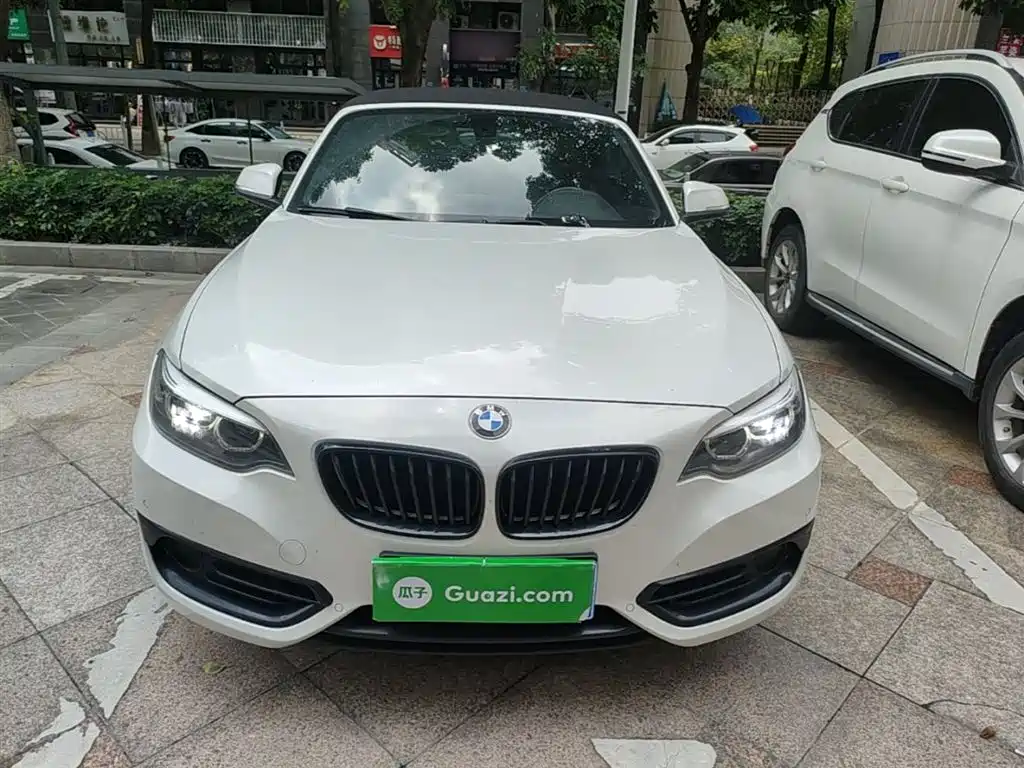 BMW 2 Series (Import) 2019 225i Convertible Coupe Sport Design Package фото 3