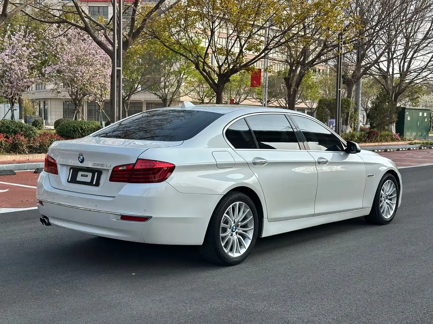 BMW 5 Series 2014 525Li Luxury Design Package фото 7