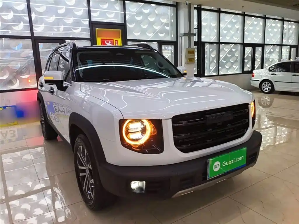 Haval Big Dog 2021 1.5T DCT 2WD Border Collie - Wangcai Edition фото 4