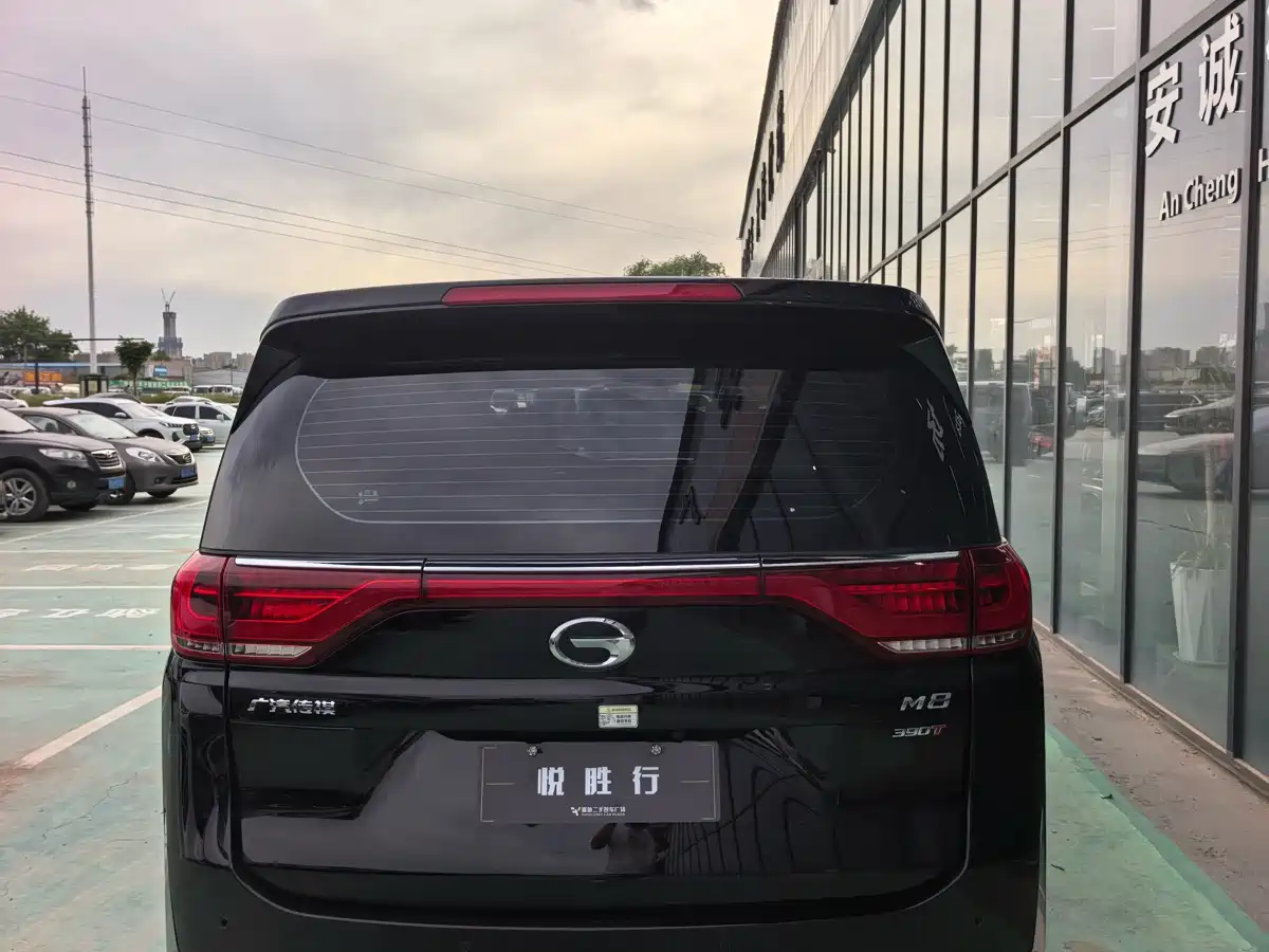 GAC Trumpchi Trumpchi M8 2021 Leading Show Series 390T Luxury Edition фото 12
