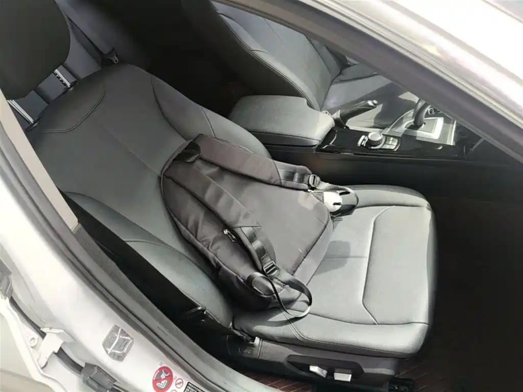 BMW 3 Series 2017 320Li Fashion фото 25