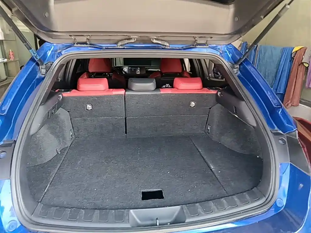 Lexus UX 2019 260h F SPORT Edition China VI фото 19