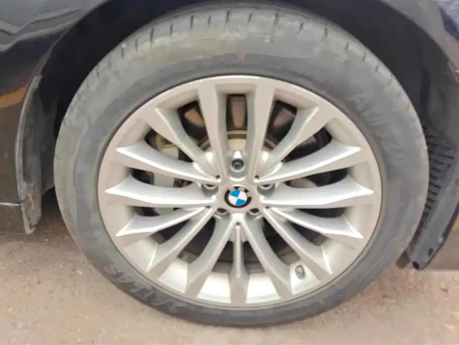 BMW 5 Series 2020 530Li xDrive Luxury Package фото 6