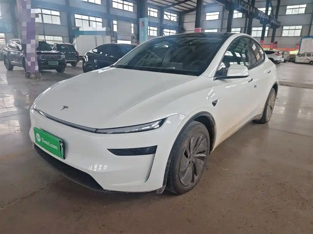 Tesla Model Y 2025 Model Rear-Wheel Drive Launch Edition