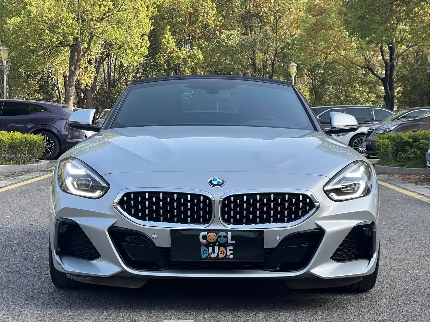 BMW Z4