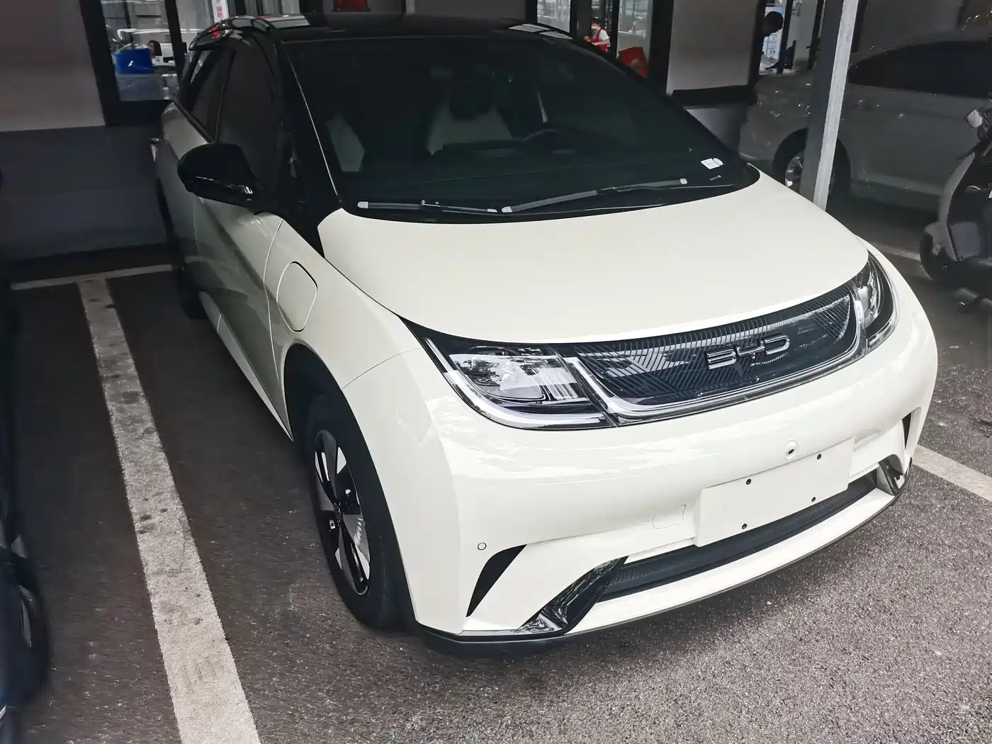BYD Dolphin 2023 420km Fashion Edition фото 3