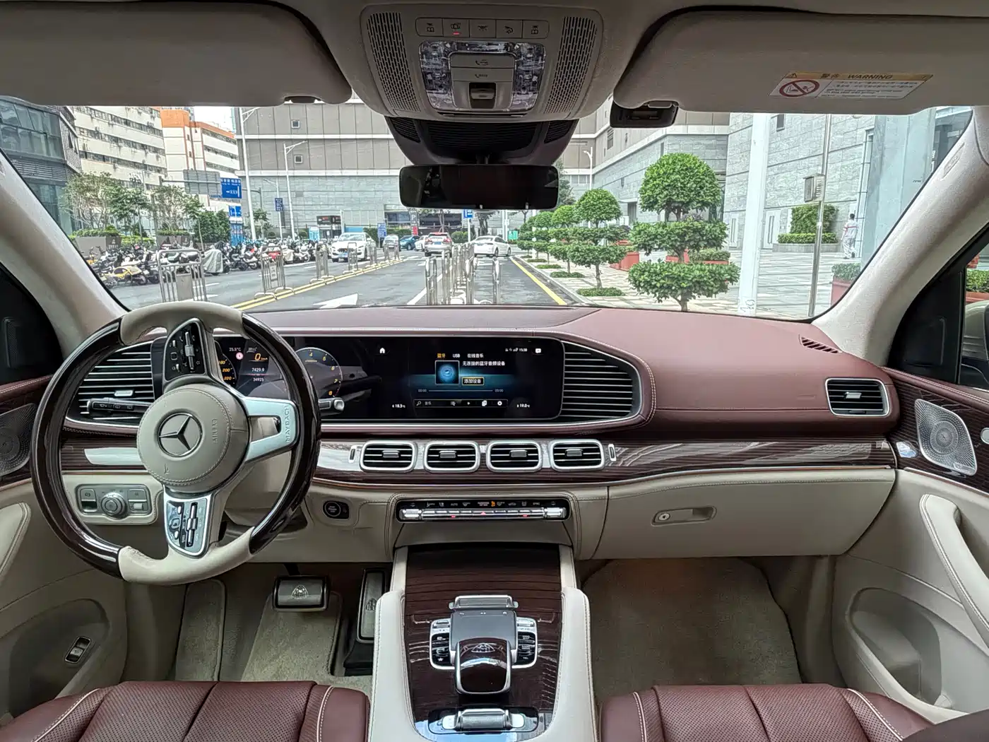 Mercedes-Benz Maybach GLS 2022 GLS 480 4MATIC фото 12