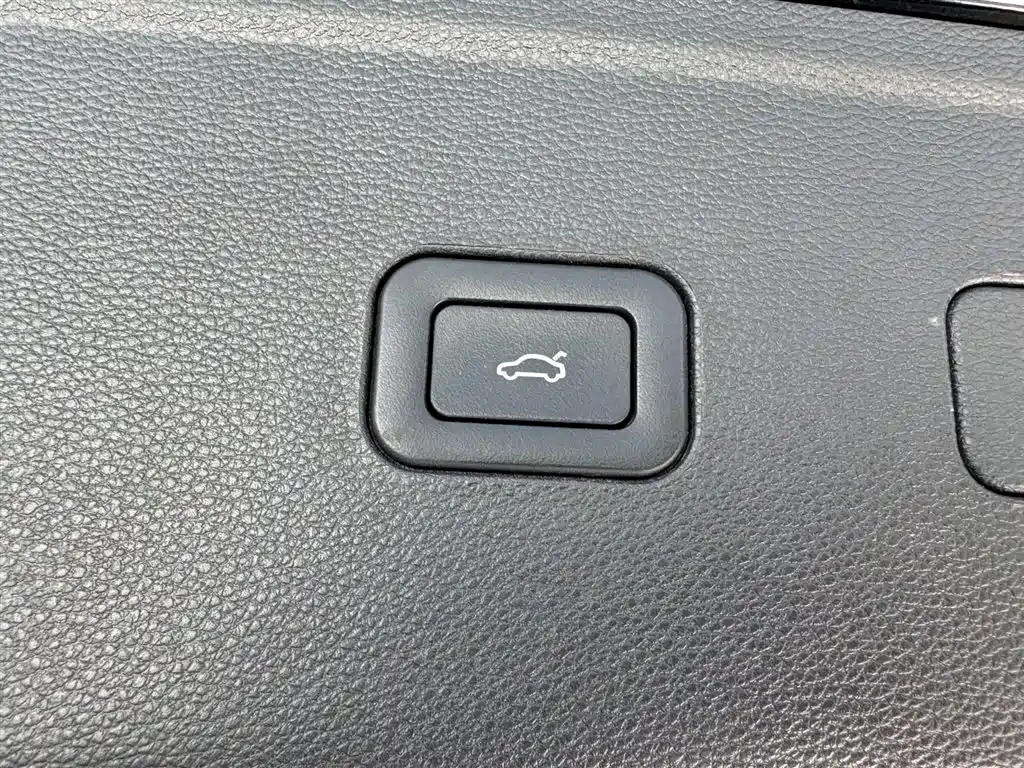 Hongqi HS7 2021 2.0T DCT FWD Smart Connect Qi Xiang Edition фото 17