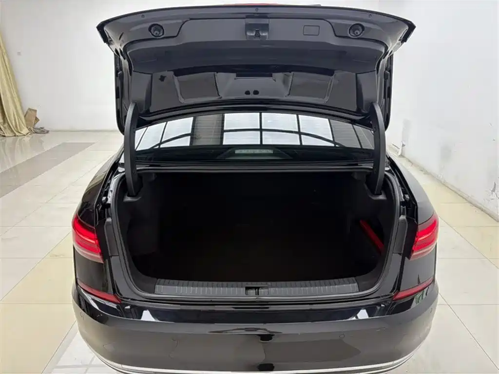 Volkswagen Passat 2022 330TSI Luxury Edition фото 4