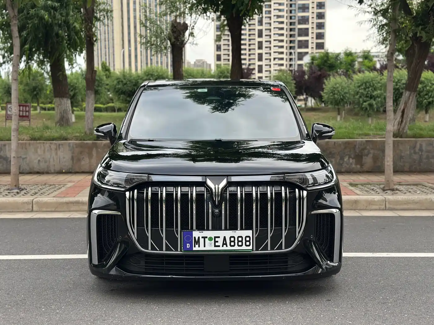 Voyah Auto Voyah Dreamer 2024 PHEV Extended Range Flagship Edition фото 2