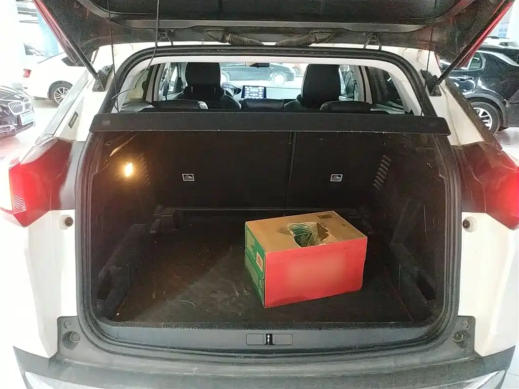 Peugeot 4008 2018 350THP Elite фото 19