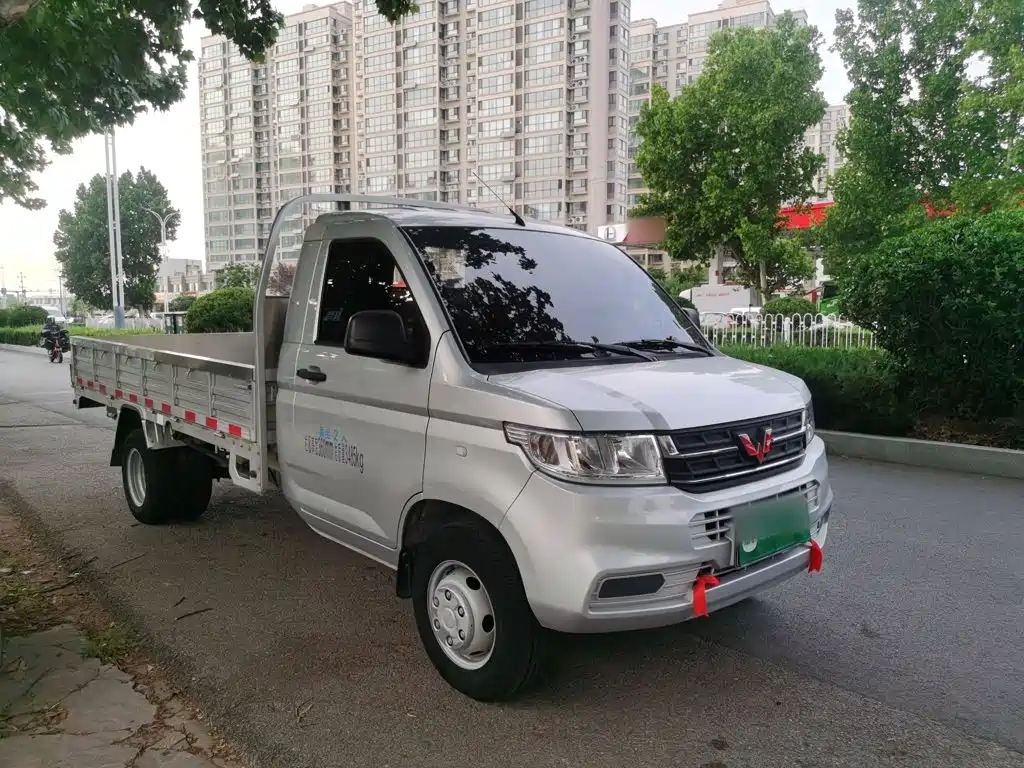 Wuling Motors Wuling Rongguang New Truck 2023 2021 Model 1.8L Basic Single Cab Dual Rear Wheels LJ479Q6