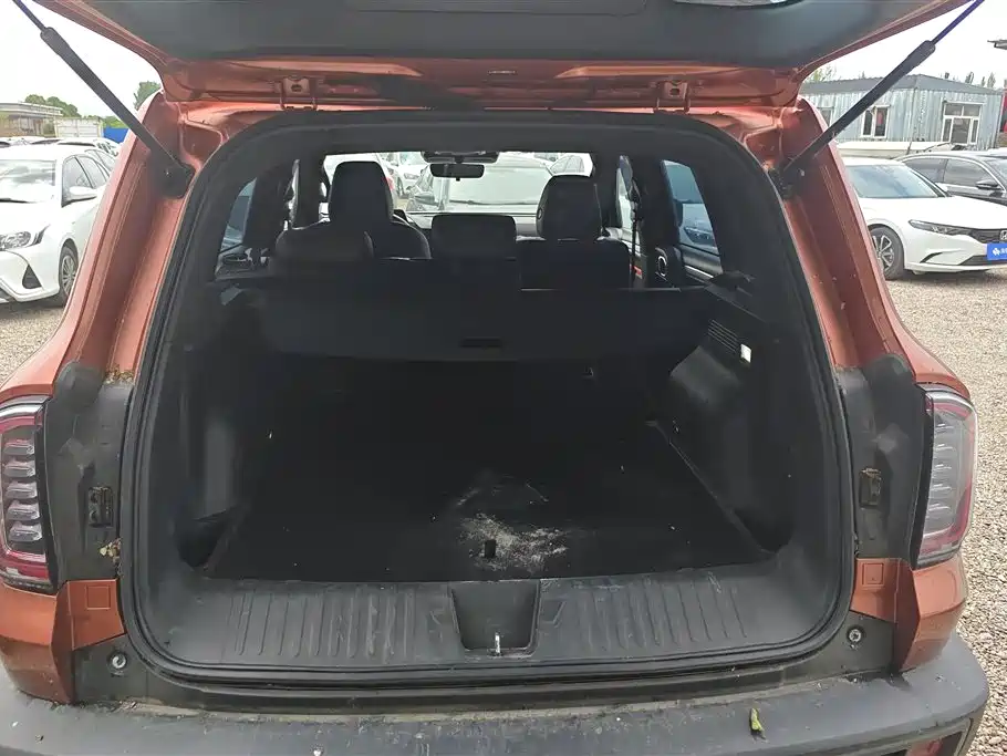 Haval Big Dog 2021 1.5T DCT 2WD Border Collie - Wangcai Edition фото 4