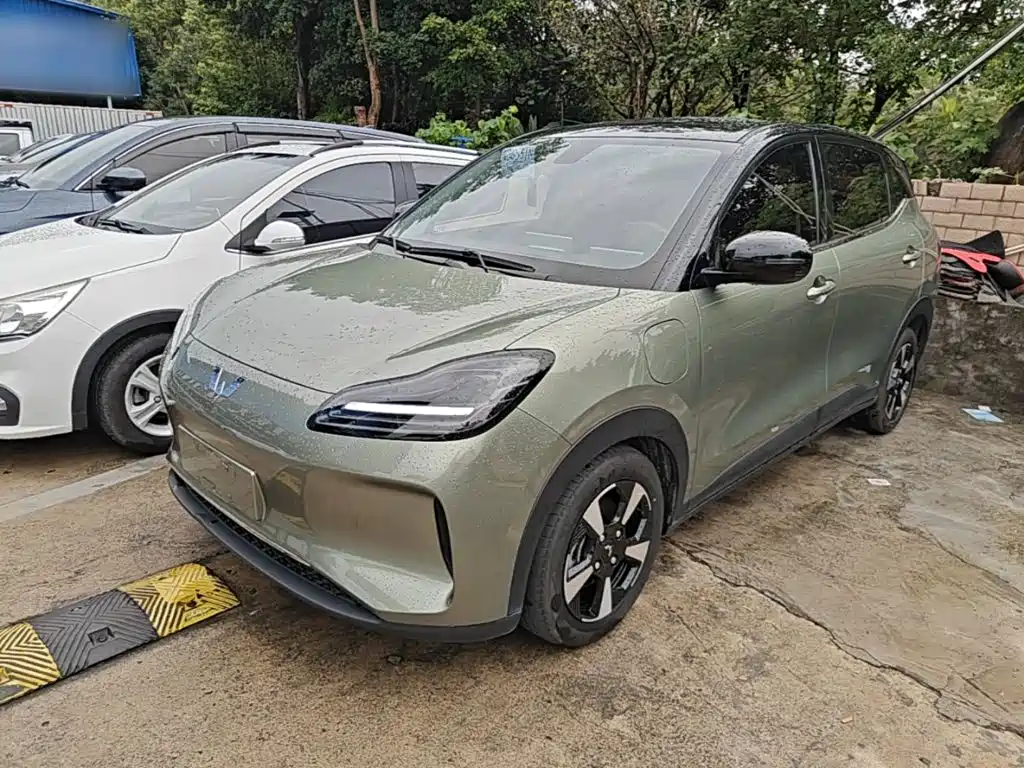 Wuling Motors Wuling Binguo PLUS 2024 Model 510km Flagship Edition 4-Seater