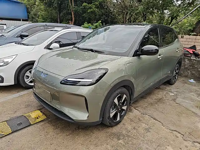 Wuling Motors Wuling Binguo PLUS 2024 Model 510km Flagship Edition 4-Seater