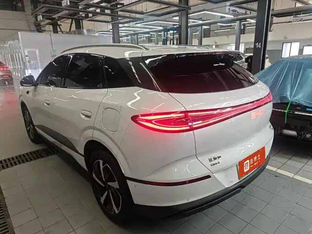 BYD Sealion 06 New Energy 2025 DM-i 170 Pilot Pro Edition — фото 3
